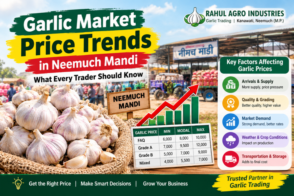 Garlic Market Price Trends in Neemuch Mandi: What Every Trader Should Know garlic market price trends infographic